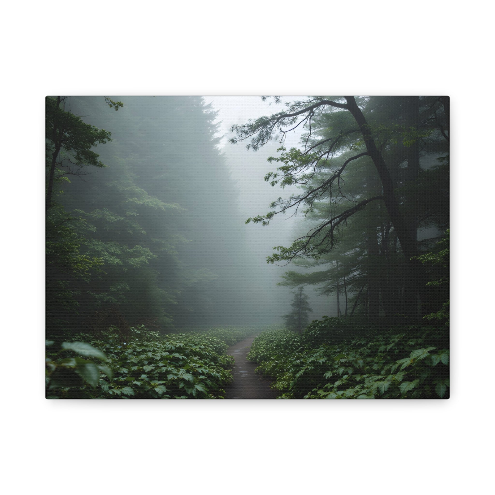 Misty Forest Path  Stretched Wall Art - Canvas Print