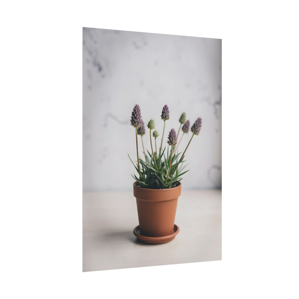 Potted Alpine Dodgegrass Wall Art – Poster