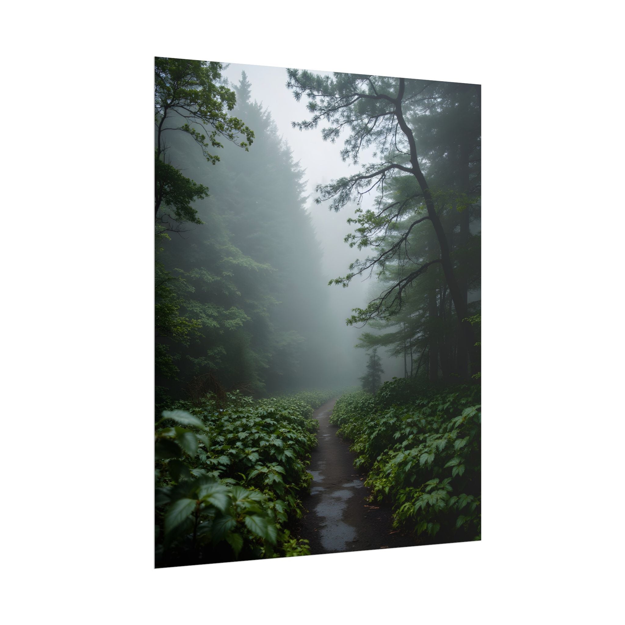 Misty Forest Path  Stretched Wall Art - Poster