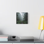 Misty Forest Path  Stretched Wall Art - Canvas Print