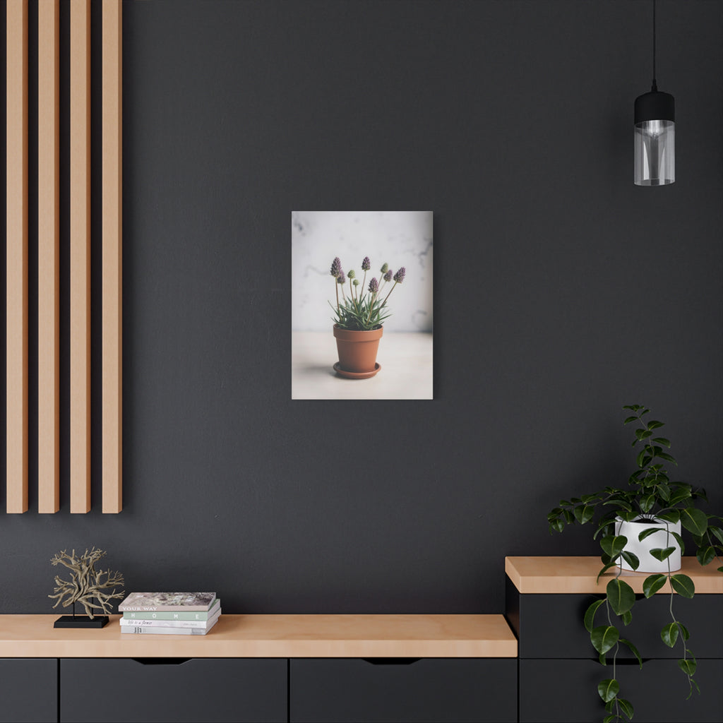 Potted Alpine Dodgegrass Wall Art – Stretched Canvas