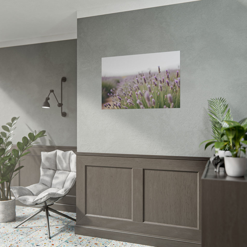 Lavender Field Wall Art – Poster